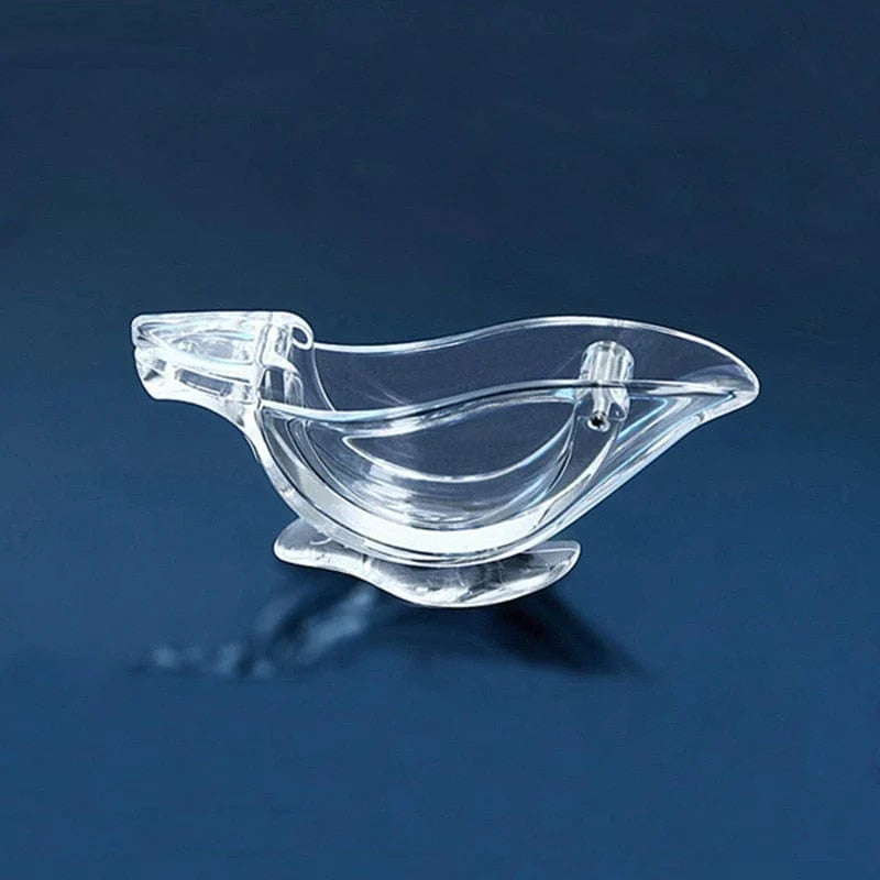 Hand Lemon Squeezer Blackbrdstore