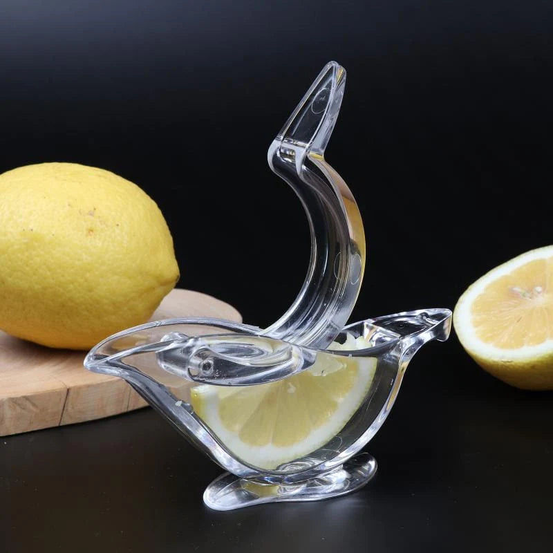 Hand Lemon Squeezer Blackbrdstore