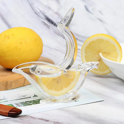 Hand Lemon Squeezer Blackbrdstore