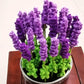 Hand-knitted Lavender Flowers Blackbrdstore