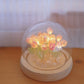 Handmade Tulip Night Light Blackbrdstore