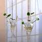 Hanging Terrarium Flower Vase Blackbrdstore