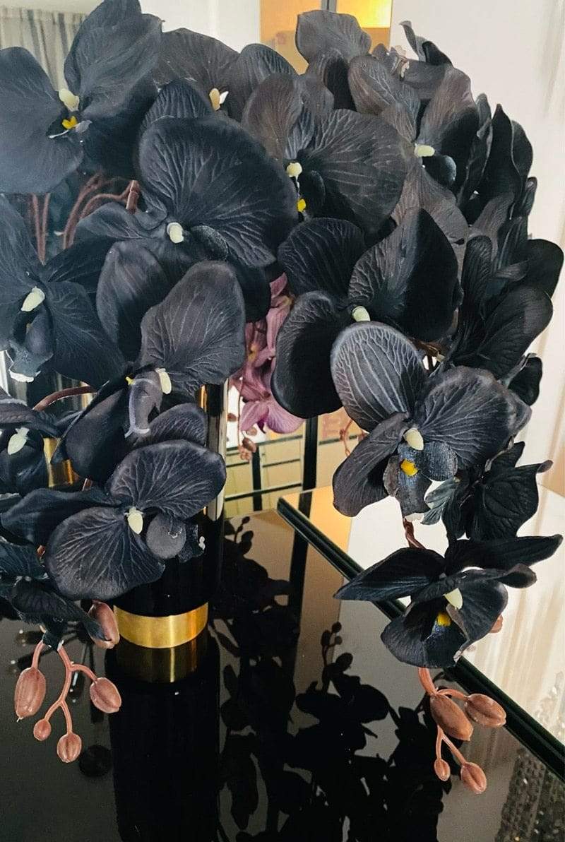 Large Butterfly Orchid (105cm) Blackbrdstore