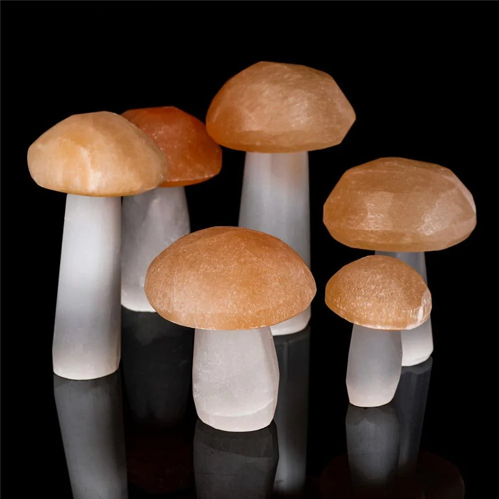 Large Selenite Mushroom Crystals Blackbrdstore