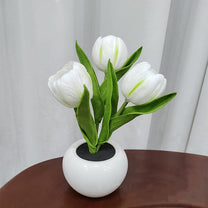 Led Tulip Table Lamp With Pot - Blackbrdstore