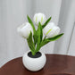 Led Tulip Table Lamp With Pot Blackbrdstore