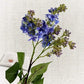 Lilac Flower Branch Blackbrdstore