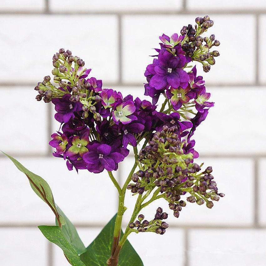Lilac Flower Branch Blackbrdstore