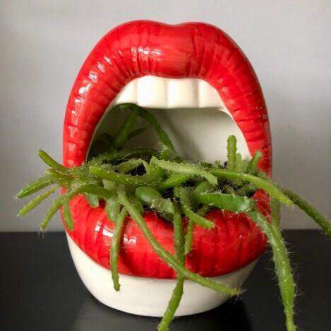Lips Flower Pot Blackbrdstore