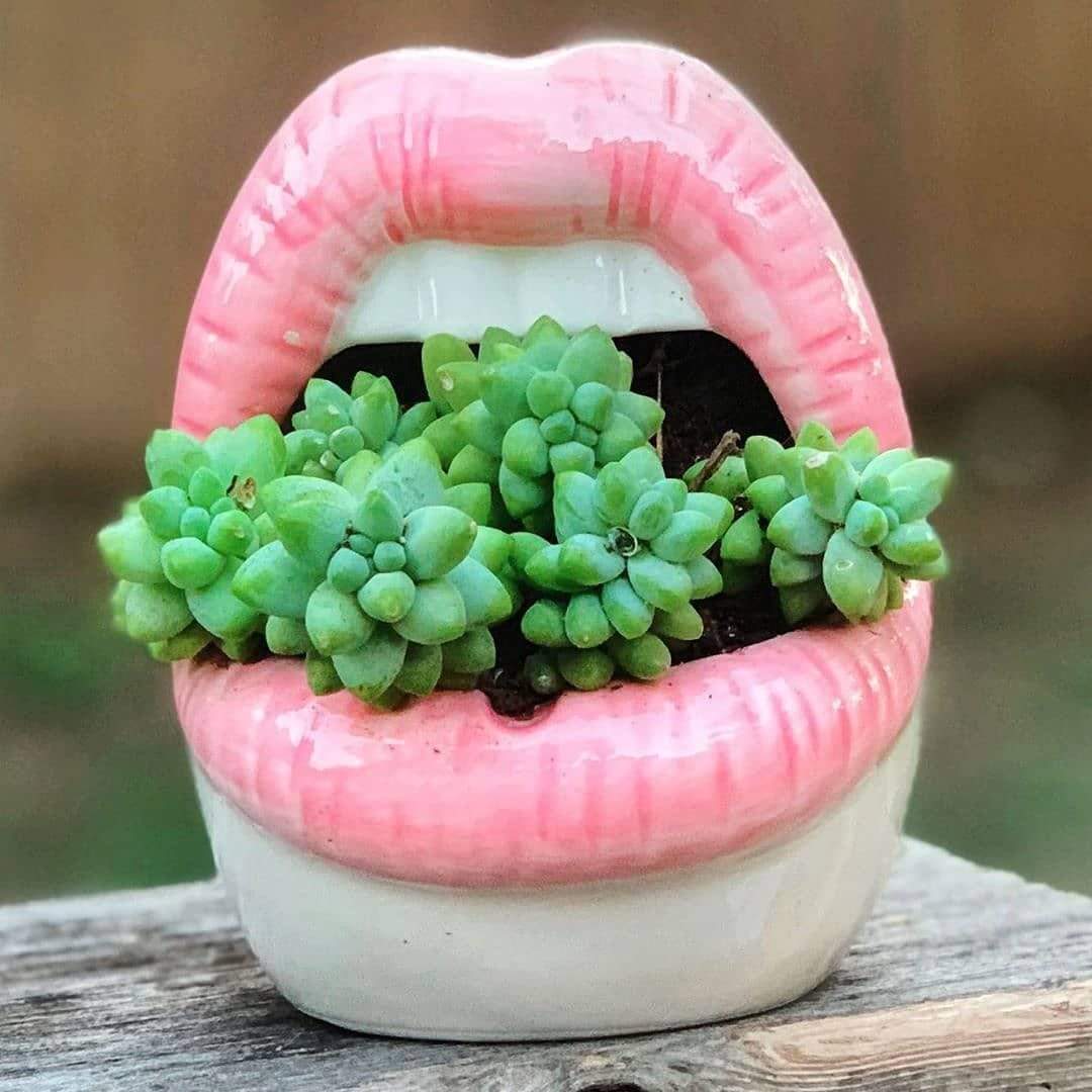 Lips Flower Pot Blackbrdstore