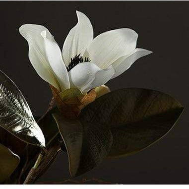 Magnolia Silk Flower Blackbrdstore