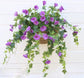 Morning Glory Flower Blackbrdstore