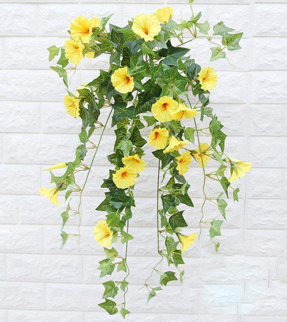 Morning Glory Flower Blackbrdstore