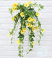Morning Glory Flower Blackbrdstore