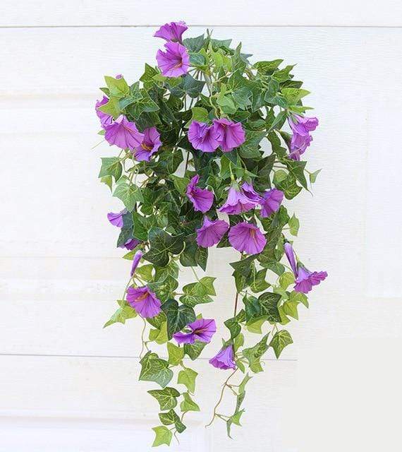 Morning Glory Flower Blackbrdstore