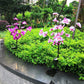 Moth Orchid Led Garden Lights Pack of 2 Blackbrdstore
