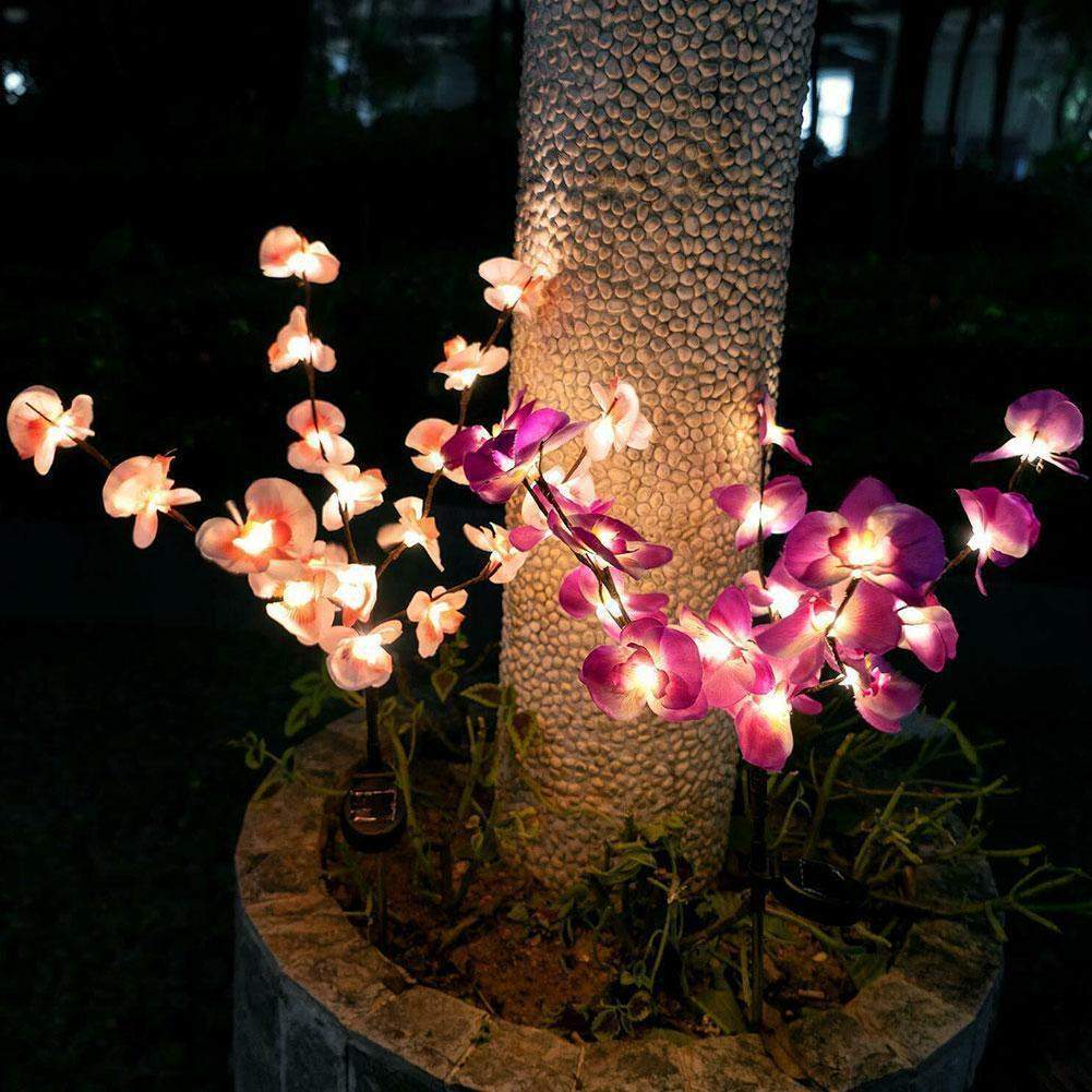 Moth Orchid Led Garden Lights Pack of 2 Blackbrdstore