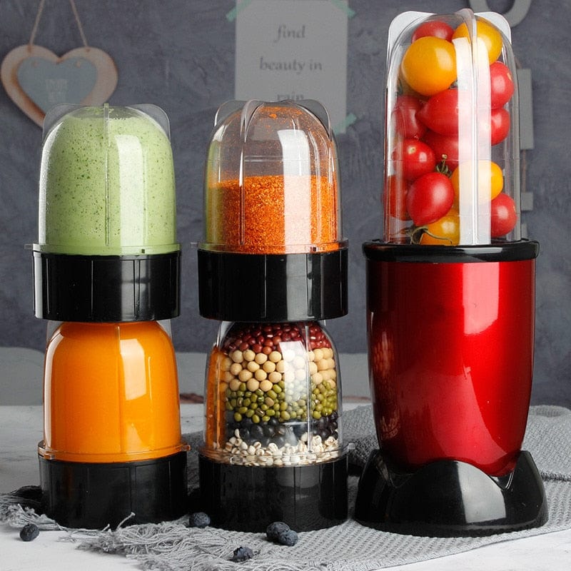 Multifunctional Mini Juicer Blender Blackbrdstore