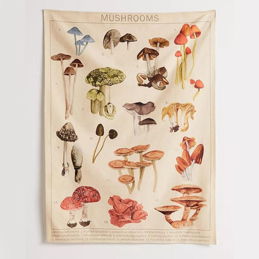 Mushroom Chart Tapestry Blackbrdstore