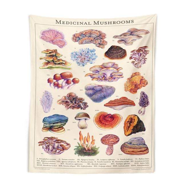 Mushroom Chart Tapestry Blackbrdstore