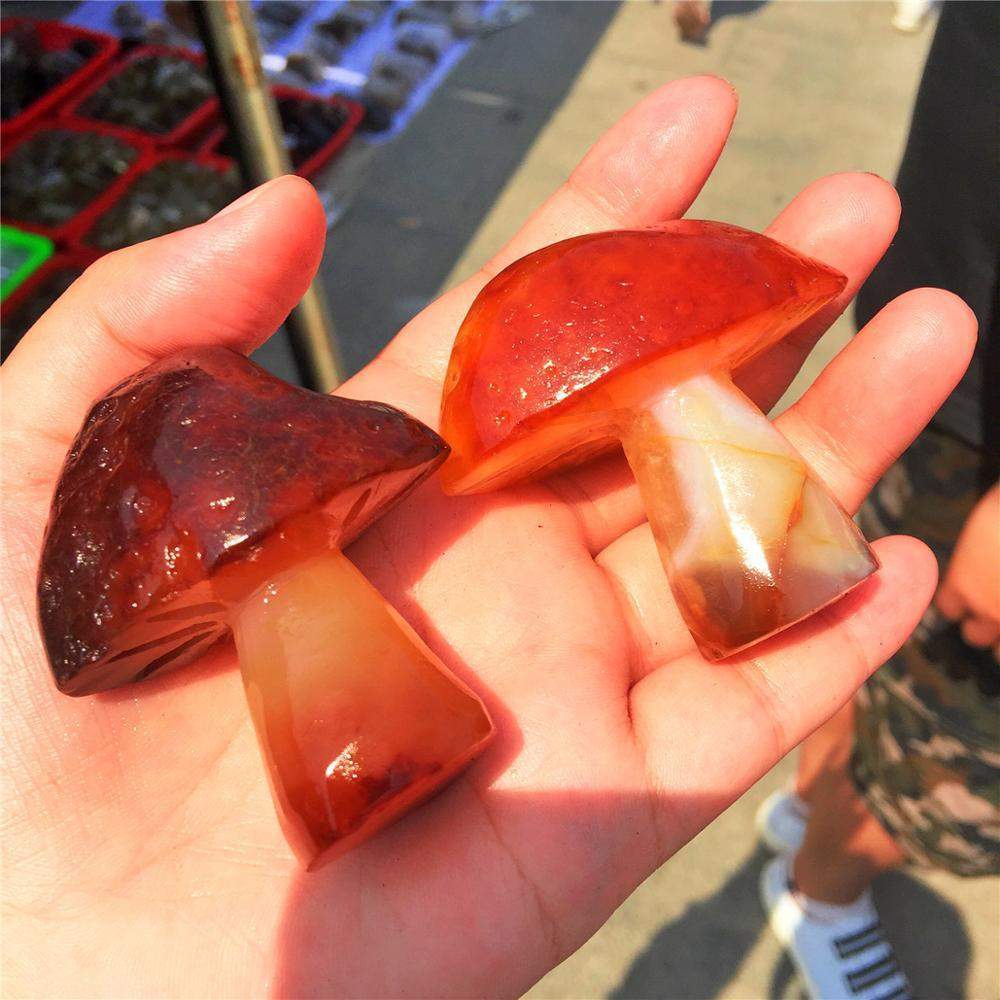 Mushroom Red Agate Carving Blackbrdstore