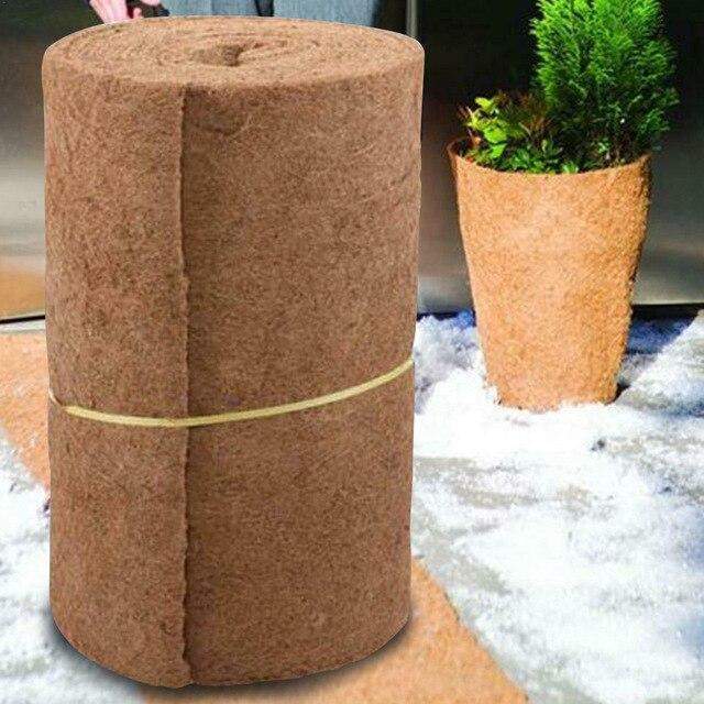 Natural Coconut Liner Blackbrdstore
