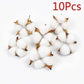 Natural Dried Cotton Stems Blackbrdstore