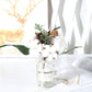 Natural Dried Cotton Stems Blackbrdstore