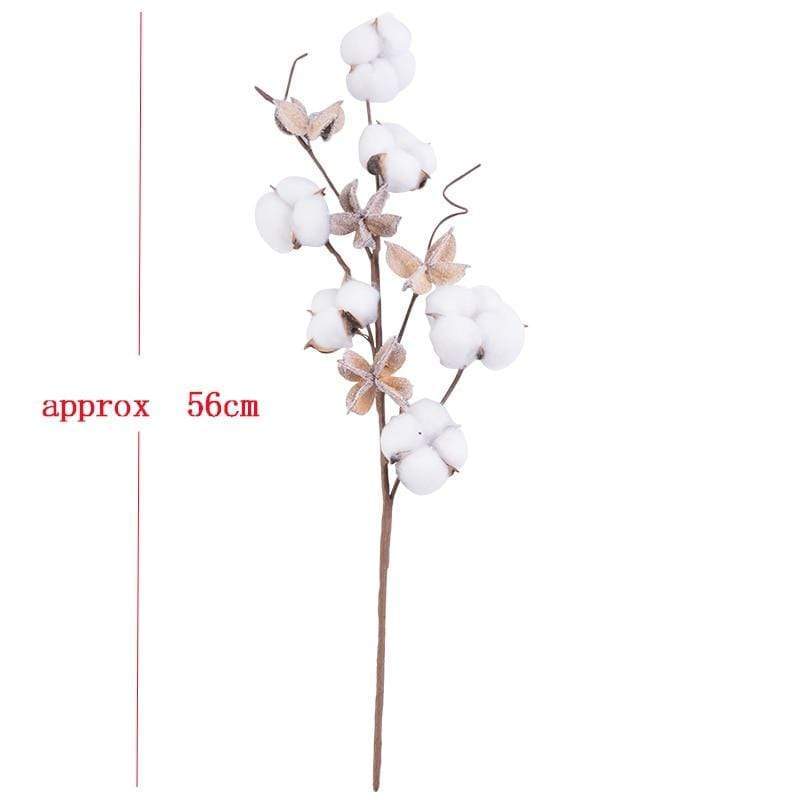 Natural Dried Cotton Stems Blackbrdstore