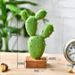 Nordic Simulation Cactus Miniature Blackbrdstore
