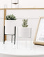 Pack of 3 Mid-Century Floral Planters Blackbrdstore