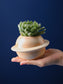 Planet Ceramic Pot Blackbrdstore