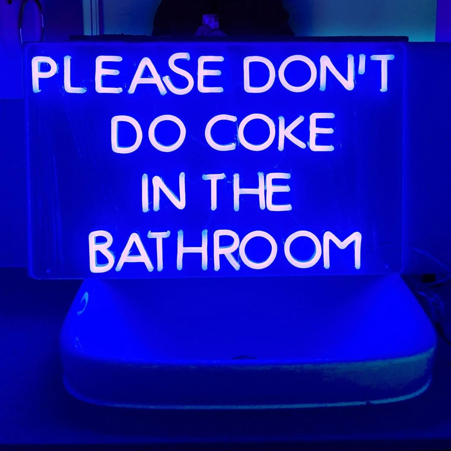 Please Don't Do Coke in the Bathroom Neon Sign Blackbrdstore