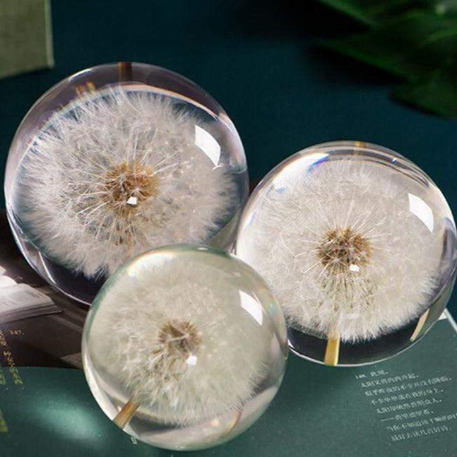 Real Dandelion Crystal Lens Ball Blackbrdstore