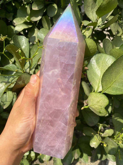 Rose Aura Crystal Point Wand Blackbrdstore