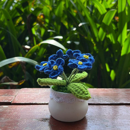 Hand Knitted Mini Potted Myosotis Flower