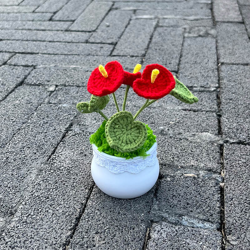 Hand Knitted Mini Potted Anthurium Flowers
