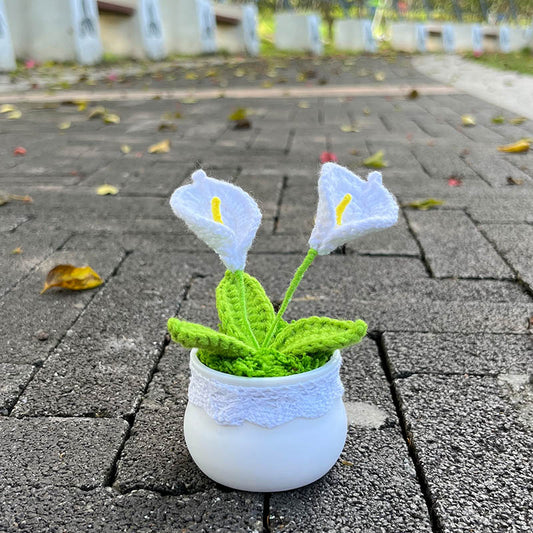 Hand Knitted Mini Potted Calla Lily