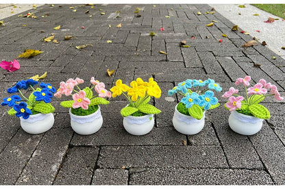 Hand Knitted Mini Potted Myosotis Flower