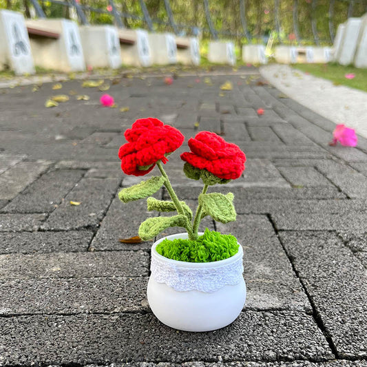 Hand Knitted Mini Potted Rose