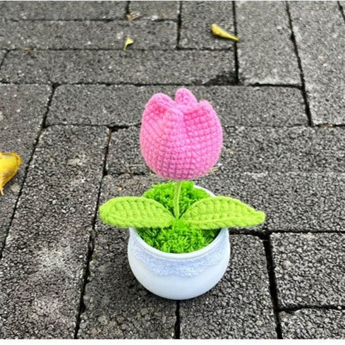 Hand Knitted Mini Potted Tulips