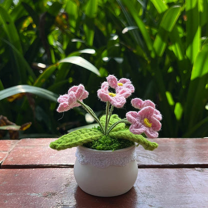 Hand Knitted Mini Potted Myosotis Flower