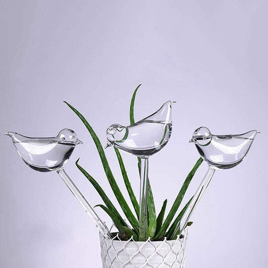 Self Watering Bird Globes Blackbrdstore