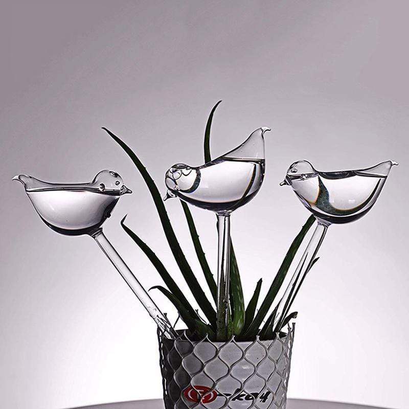 Self Watering Bird Globes Blackbrdstore