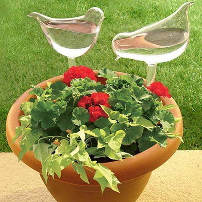 Self Watering Bird Globes Blackbrdstore