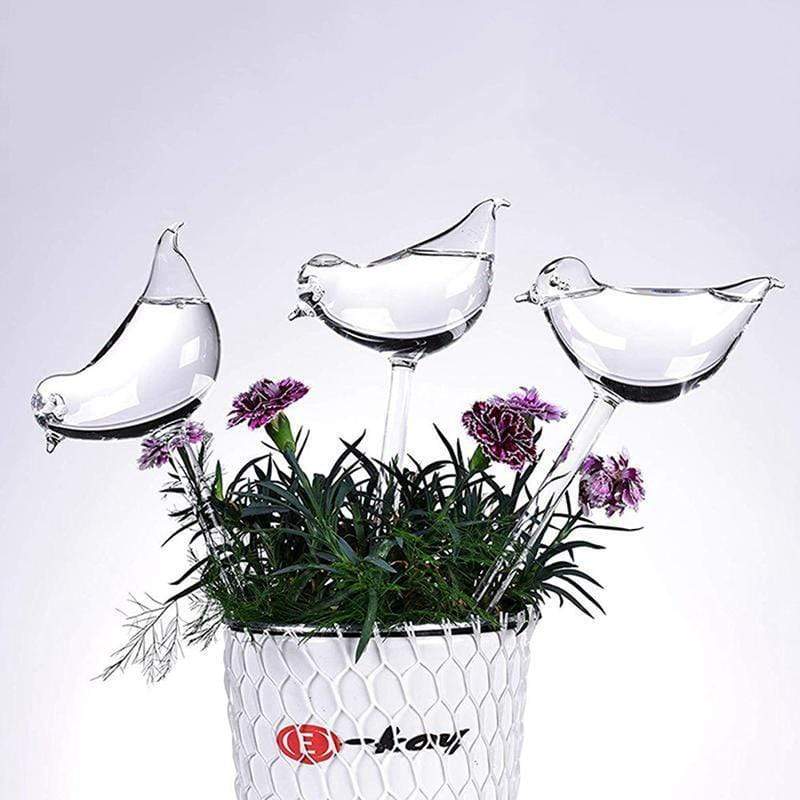 Self Watering Bird Globes Blackbrdstore