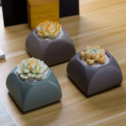 Set of 3 Matte Glaze Ceramic Plant Pots Blackbrdstore