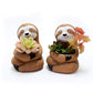 Sloth Succulent Pot Blackbrdstore