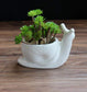 Snail Flower Pot Blackbrdstore