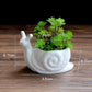 Snail Flower Pot Blackbrdstore